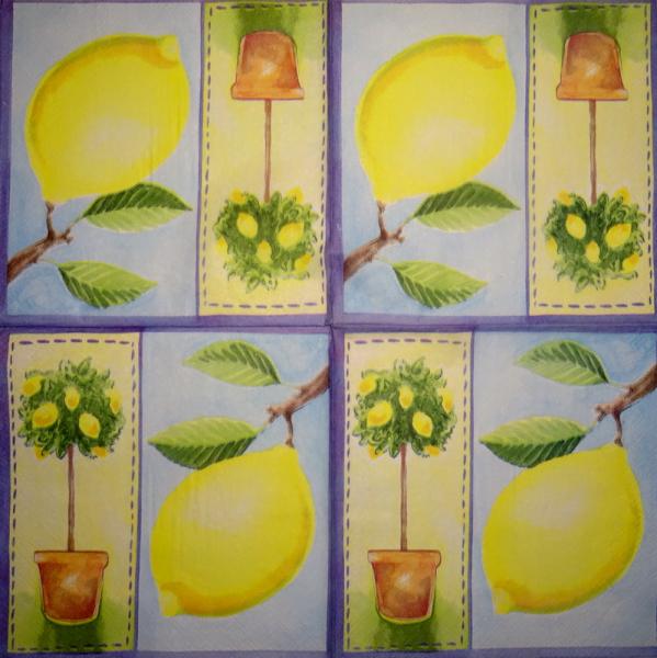 208 Zitronen, Orangen - 3-lagig